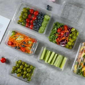 Wholesale Disposable Transparent Fruit Vegetable Box Food Grade Supermarket Salad Cake Container Recyclable Fruit Cutti
