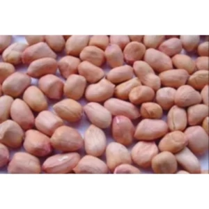 Bheema (Bhima) Peanuts