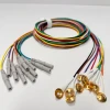 Gold Plated EEG Cup Electrodes DJ Series 1.5mm DIN Reusable 10-Color Set