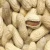 Import Bheema (Bhima) Peanuts from India