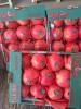 Fresh Egyptain Pomegranate