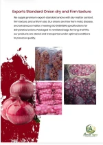 Export Quality Fresh Dry Onions – Firm Texture, Uniform Size, ISO Standard Supply