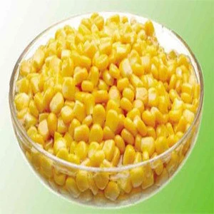 100% Fresh Yellow Corn