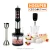 Import 1200W electric home appliances hand blender SET HG7701set from China