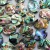 Import 13x18mm Abalone Shell Gemstone, Oval Cabochon, Calibrated Paua Shell Loose Gemstone for Jewelry from India