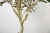 Import 170cm High-quality Artificial Olive Tree Ornament Plants Wood Trunk for Sale from China