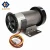 Import 180v carbon brush dc motor for treadmill from China