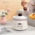 Import 1L Electric Ceramic Slow Cooker Stew pot from China