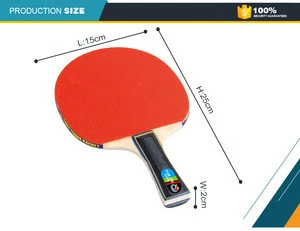 2019 hot selling sport toy wood table tennis racket with PE net