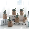 2020 Amazon Hot Selling Pinrui Nordic cactus Artificial Succulent Plants