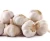 Import 2020 China best wholesale fresh garlic price new crop for export from China