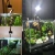 2020 New Product LED Lighting Lamp Aquarium 15W Dimmable Aquarium Lights Fresh Water Plant 20-45cm Aquarium Light Stand