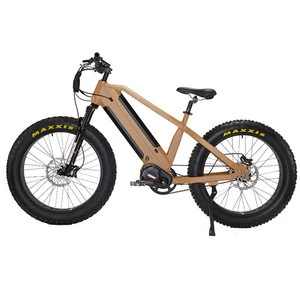 2020 newest dual battery 48v 1000w Bafang G510 M620 electric fat bike,electric bicycle with 120km long range