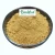 Import 2021 newest batch natural nattokinase extract powder 20000 fu/g nattokinase bulk wholesale with cheap price from China