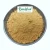 Import 2021 newest batch natural nattokinase extract powder 20000 fu/g nattokinase bulk wholesale with cheap price from China