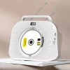 2024 HIFI Sound CD Player Bluetooth Speaker CD Player With Radio USB Output Turntable CD Record