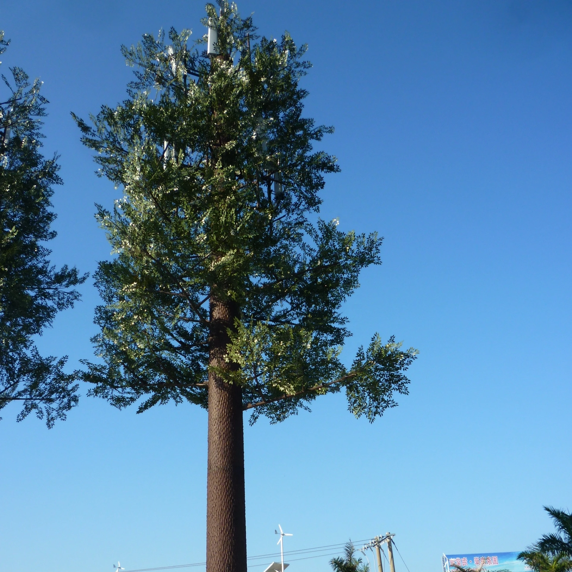 25 Meter Self Supporting Steel Assambling Camouflage Types of Fiber Glass Pine Trees Wi Max Lte Telecom  Tower