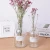Import 500ml 1000ml amber black transparent color painting flower glass vase home decoration from China