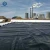 Import 50m-100m Length and HDPE Material geomembrane from China