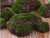 Import 6pcs/Set Wood Chip Green Foam Moss Stone  Rock Artificial Flower Pots Christmas Wedding Home Garden Decoration Flowers from China