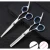 Import 8 INCH HAIR CUTTING THINNING STYLING TOOL SET HAIR SCISSORS STAINLESS STEEL SALON HAIRDRESSING from Pakistan