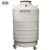 80 L Chemical Storage Tank Liquid Nitrogen Transport Cylinder, Cryogenic Vessel