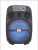 Import 8inch wireless bt  karaoke portable speaker from China