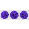 A Grade Wholesale Best Quality 7-8 cm Fresh Soft Preserved Forever Eternal Roses Head Roses
