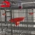 Import A type automatic feeders and drinking system used in chicken cages from China