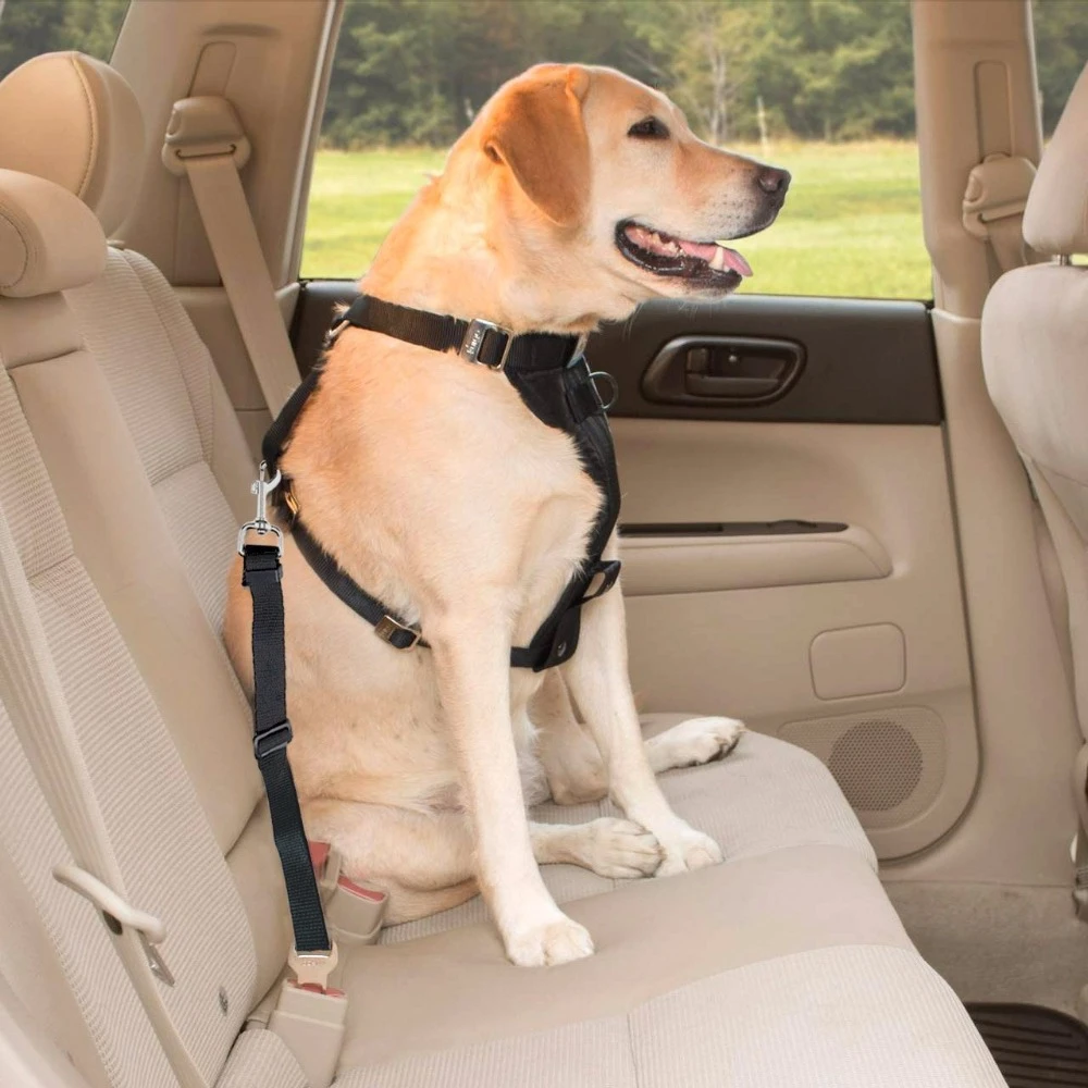 Adjustable Dog Nylon Car Seat Belt Cat Safety Leads Harness Vehicle Pet Dog Seat Car Seatbelt Harness Belt