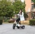 Import adult tricycle electric scooter/ electric zippy-zappy tricycle scooter for adult/ electric tricycle scooter for commuting/ from China