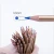 Import Amazon Custom 72pcs Water Soluble Colored Pencils For Art Students &amp; Professionals with Assorted Colors for Sketch Coloring Page from China