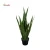 Import Artificial agave plants Ornamental artificial senseveria snake tropical plant from China