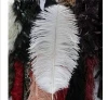 artificial ostrich feathers