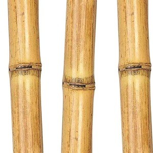 bamboo pole for plant
