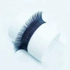 beautier ellipse flat eyelash extension prime silk korean PBT
