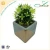 Import Beautiful Indoor Outdoor Artificial Plants With Cement Flower Pot from China