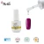 Import Belle MX503 Top Gel Color Art Paint Salon Used Factory Offer No Wipe Top Coat from China