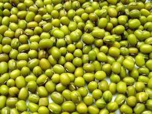 Best Green Mung Beans/ Vigna Beans price