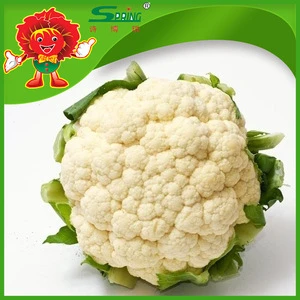Best price for white broccoli pickled cauliflower A