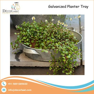 Best Quality Galvanized Planter Tray