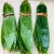 Import Best seller capsules round screening flavonoid bamboo leaf bamboo leaves from China