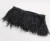 Import Black Ostrich Feather Fringe for Clothes Accessories Trimming from China