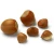 Import Blanched / Roasted Hazelnuts / Toasted / Hazelnut kernels Inshell / Organic Hazel Nuts from Brazil from Brazil