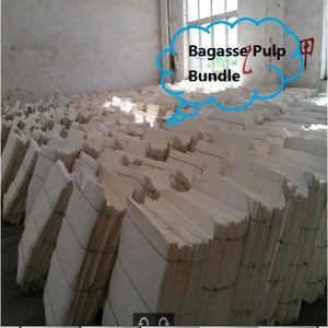 Bleached Bagasse Pulp