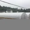 Brand new solar panel tunnel green house plastic garden igloo grow tent single span+greenhouses price
