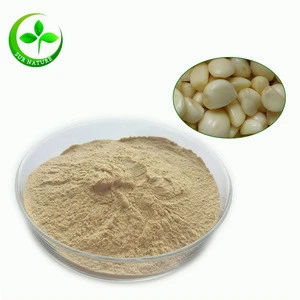 Bulk garlic oil concentrate, garlic extract with good garlic powder price