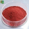 Bulk supply high quality Iron Oxide Red pigment for tableting CAS 1309-37-1