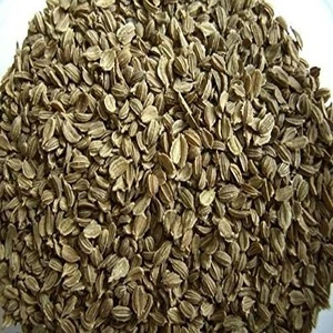 Carrot Seeds For Sale, Vegetable Seed for Sale