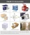Import Ceramic thermo mug stainless steel mug contigo from China